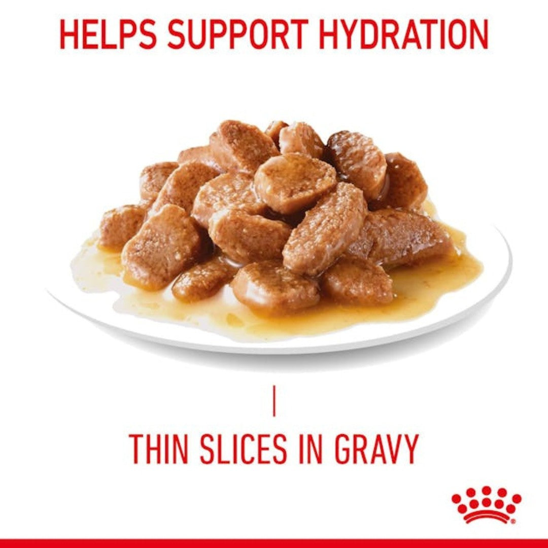 Royal Canin Hair & Skin Care in Gravy Cat Wet Food - Kibbles