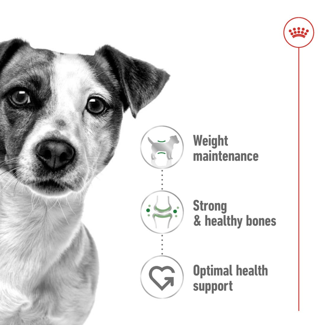 Royal Canin Mini Adult Dog Dry Food in 800g, 2kg, and 8kg packs. - Benefits