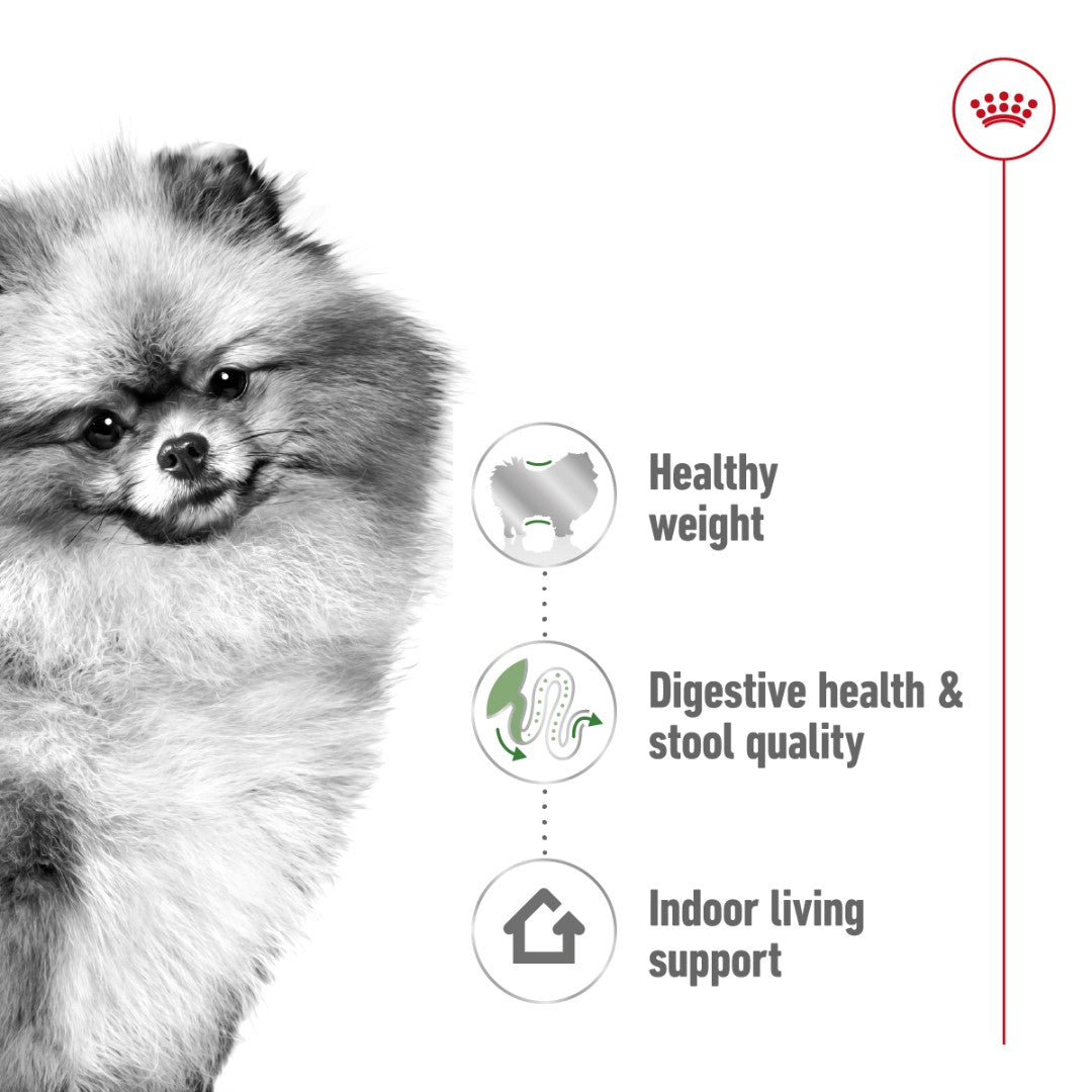 Royal Canin Mini Indoor Adult Dog Dry Food packaging, 1.5kg, for small indoor dogs over ten months old. - Food Benefits