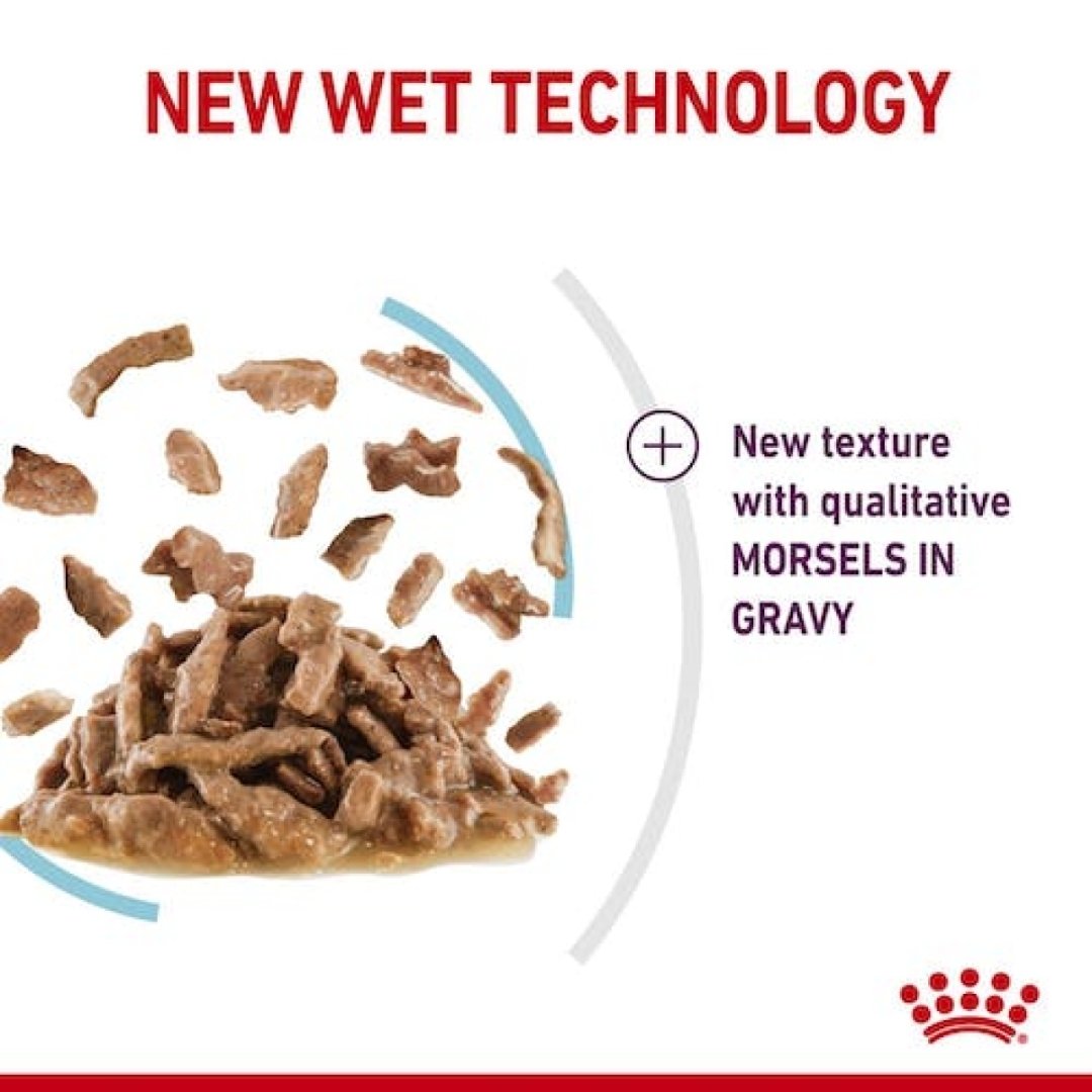 Royal Canin Sensory Feel Gravy Cat Wet Food - Kibbles Size