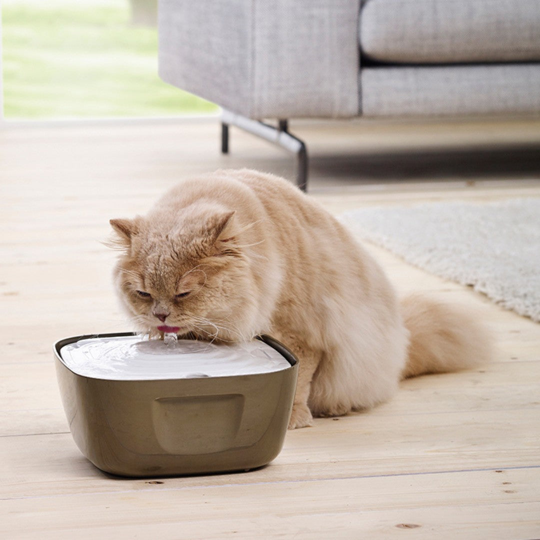 Savic Volcano Cat Fountain 2.5L – Vet-Recommended, Continuous Recirculation, Carbon Filter, Whisker-Friendly, Non-Slip – Hydration and Health for Your Cat!- Cat