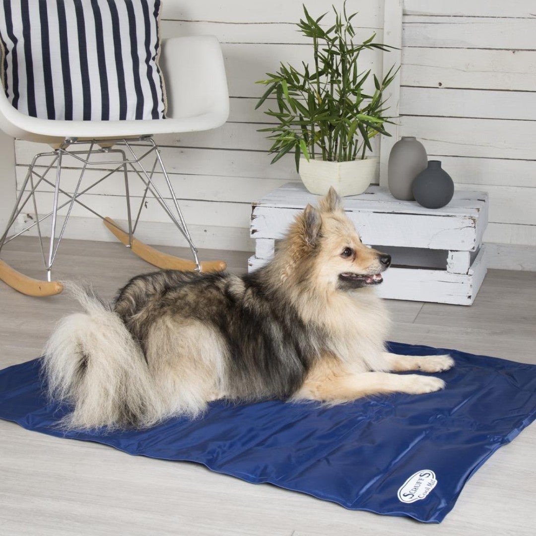 Introducing the Scruffs® Cool Dog Mat, meticulously designed to provide unparalleled relief for your pet in the sweltering heat.