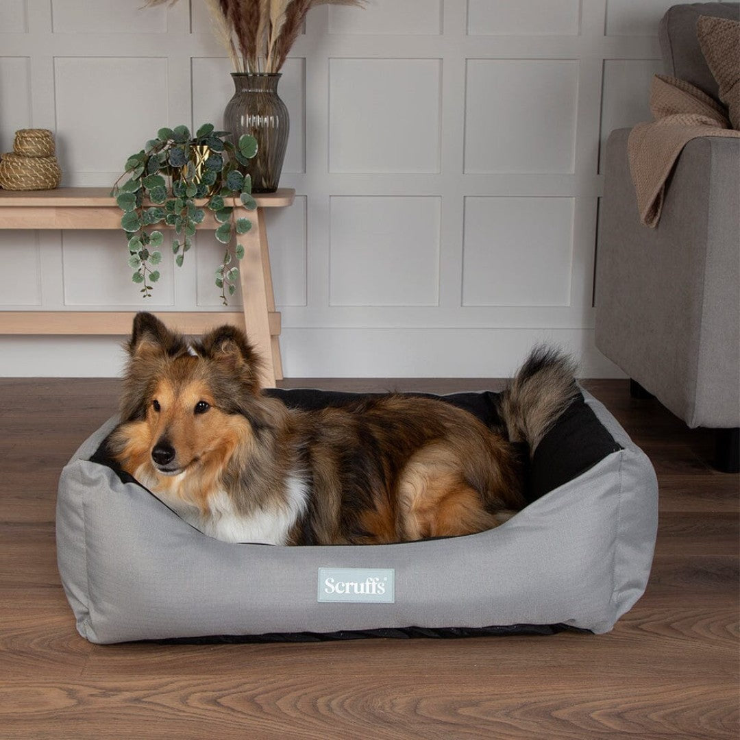 Scruffs Expedition Box Dog Bed – Water-Resistant and Durable Dog Bed for Outdoor Adventures - Color Grey - AD