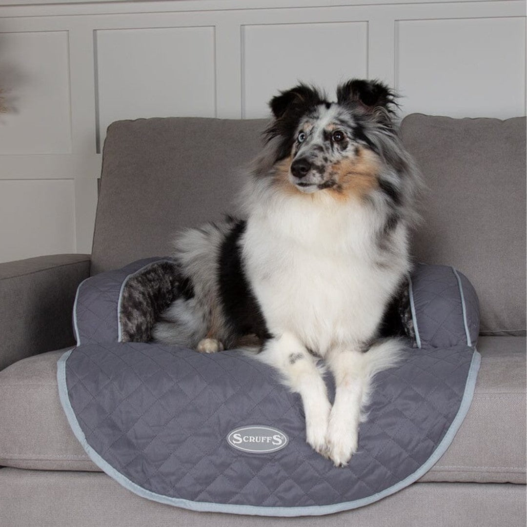 The Scruffs® Wilton Sofa Dog Bed is not just a bed; it's a luxurious retreat for your beloved pet and a guardian for your sofa. They are designed for ultimate comfort and practicality.