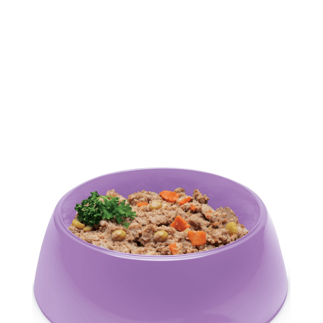 Symply Adult Duck with Potato Wet Dog Food - Food Photo