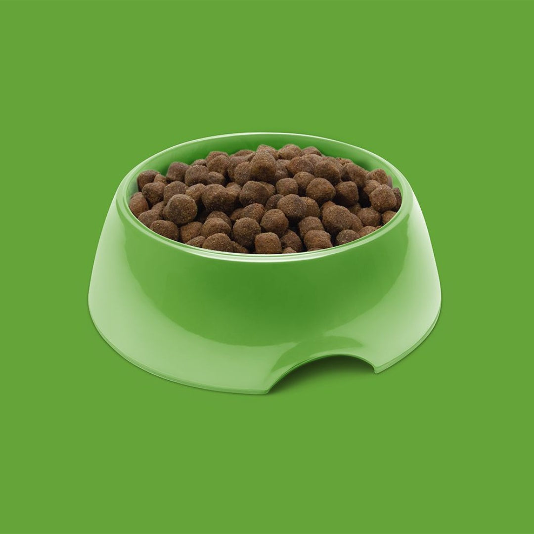 Symply Adult Fresh Lamb Dry Dog Food - Kibbles Photo