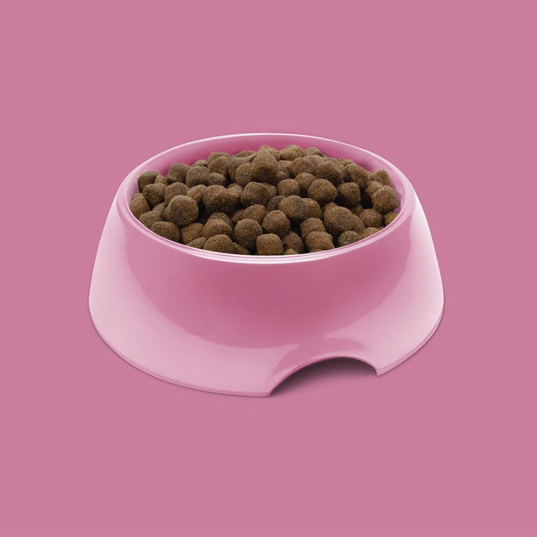 Symply Adult Fresh Turkey Dry Dog Food