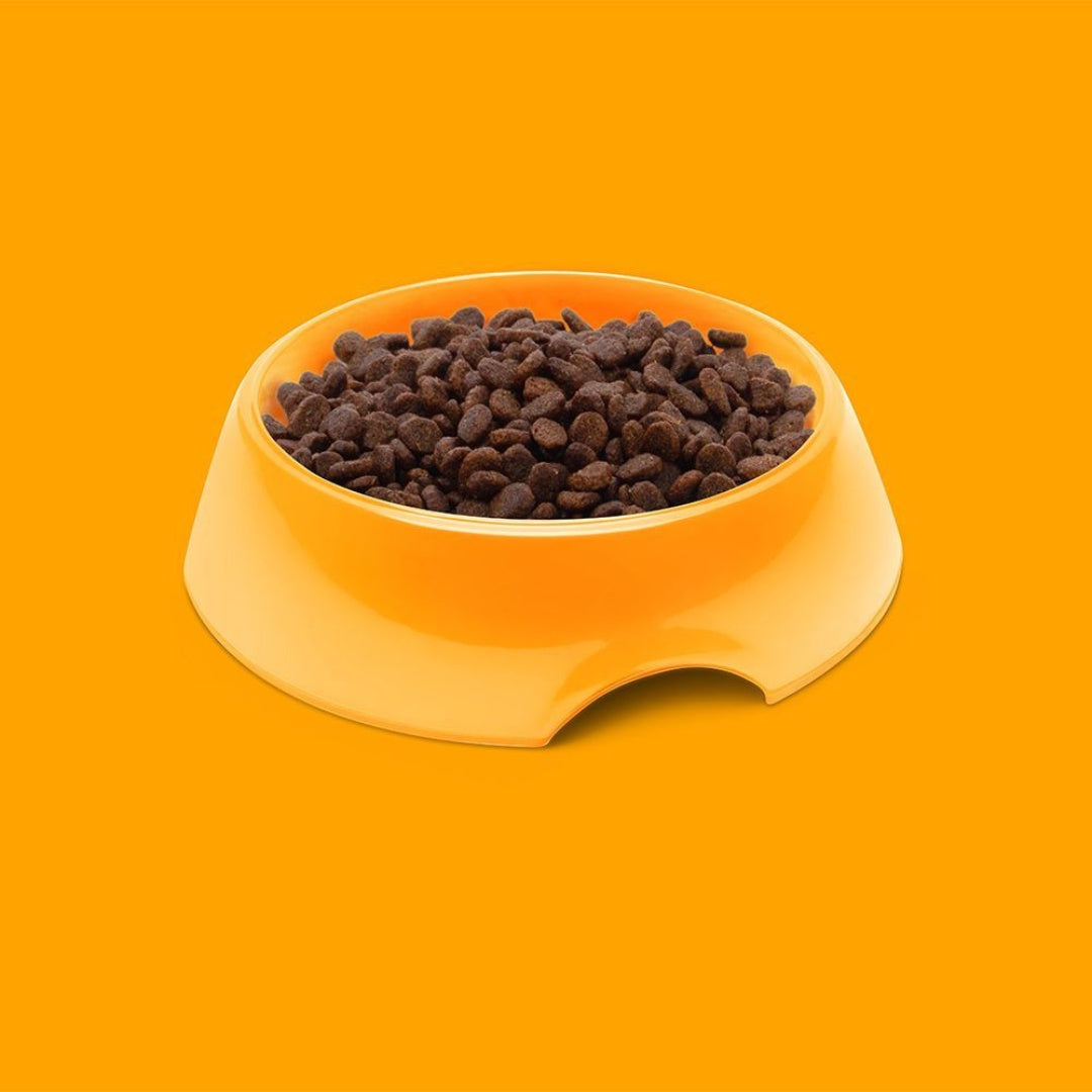 Symply Chicken Dry Cat Food - Kibbles Photo