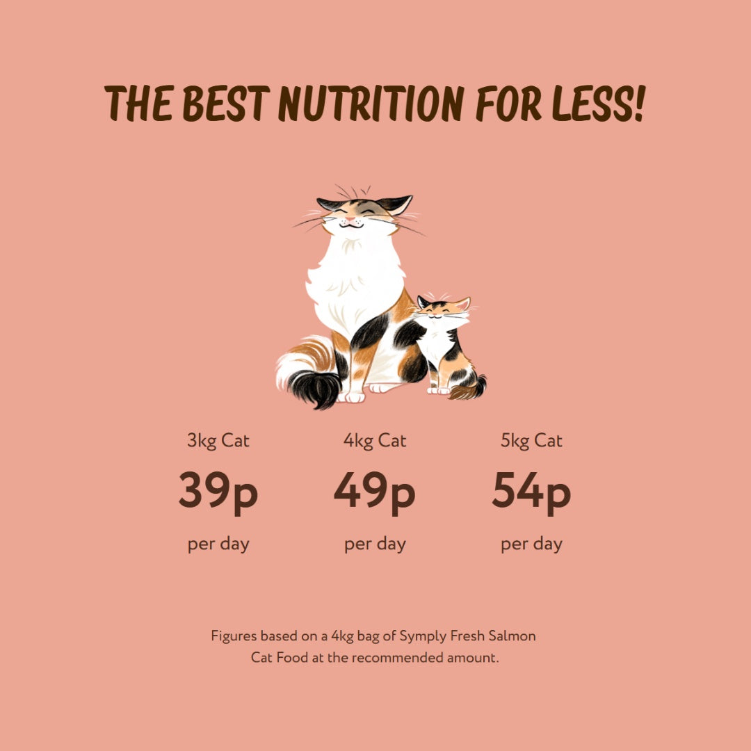 Symply Salmon Cat Dry Food - Feeding Guide