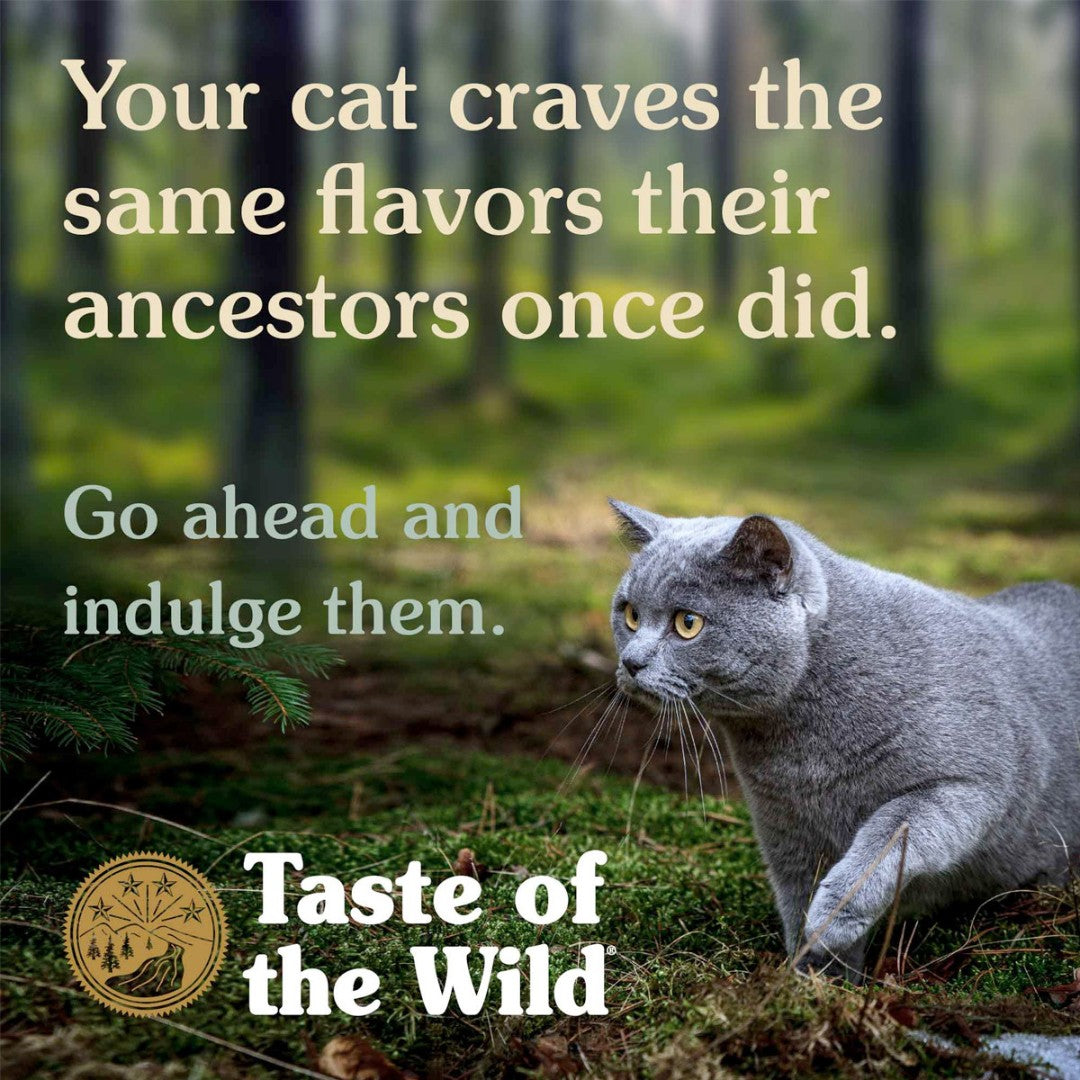 Taste of the Wild Canyon River Trout & Salmon in Gravy Cat Wet Food – 85g - product image 4