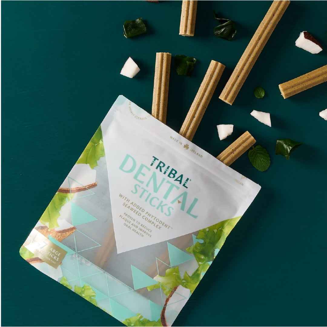 Happy large dog enjoying Tribal Dental Sticks Large Dog Treats. - AD