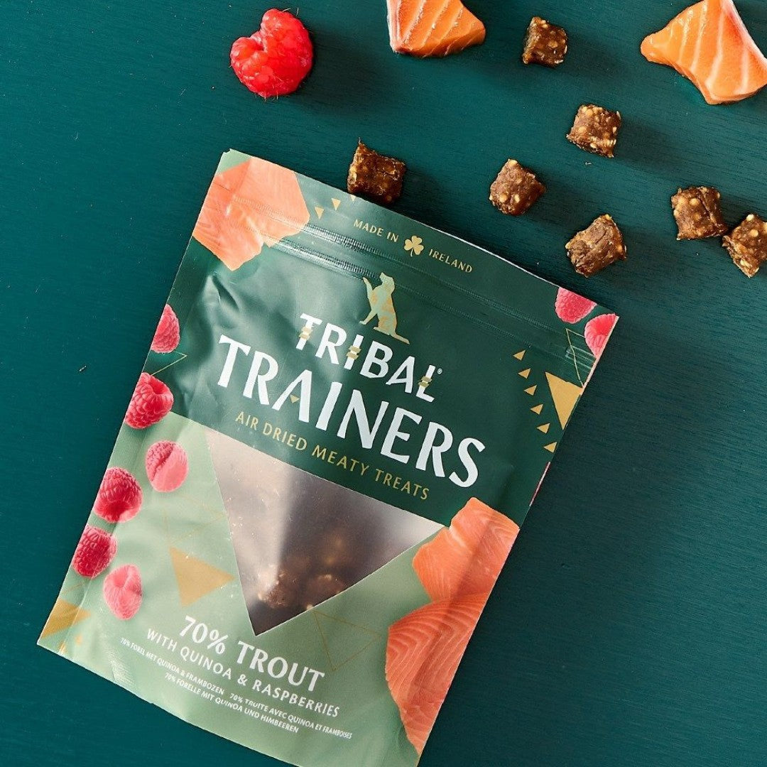Tribal Trainers Trout Quinoa & Raspberry Dog Treats in an 80g bag. - AD