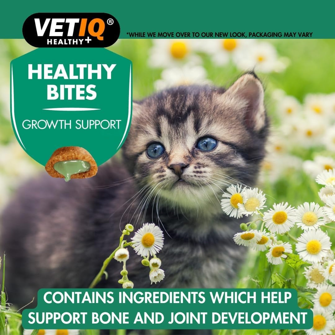 VetIQ Healthy Bites Growth Support Treats for Kittens - Nutritious and Delicious Cat Treats - Benefits 1