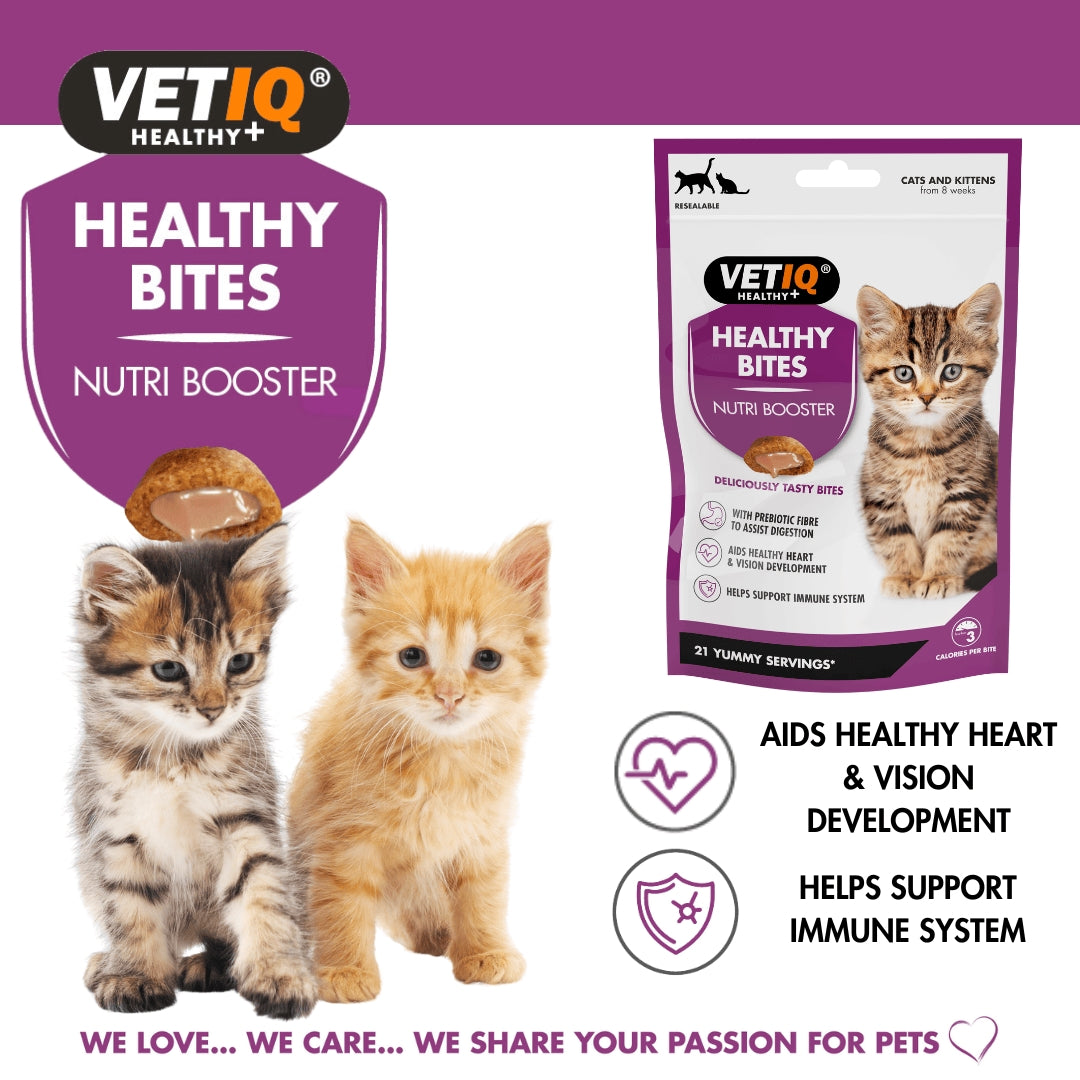 VetIQ Healthy Bites Nutri Booster Kittens and Cats Treats - Delicious and Nutritious Cat Treats - Benefits