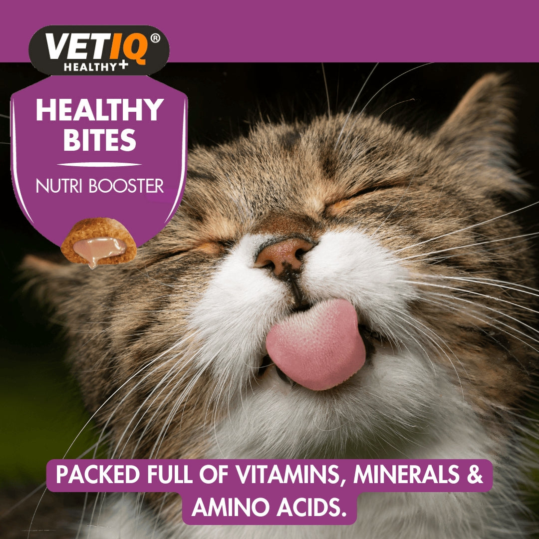 VetIQ Healthy Bites Nutri Booster Kittens and Cats Treats - Delicious and Nutritious Cat Treats - Benefits 1