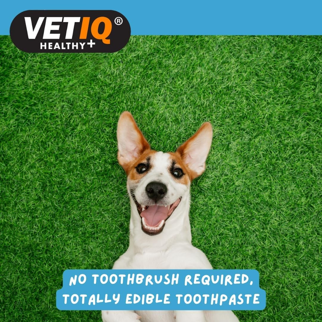 VetIQ 2in1 Denti-Care Edible Toothpaste for Dogs & Puppies - Fresh Breath and Healthy Teeth for Your Furry Friend - Benefits