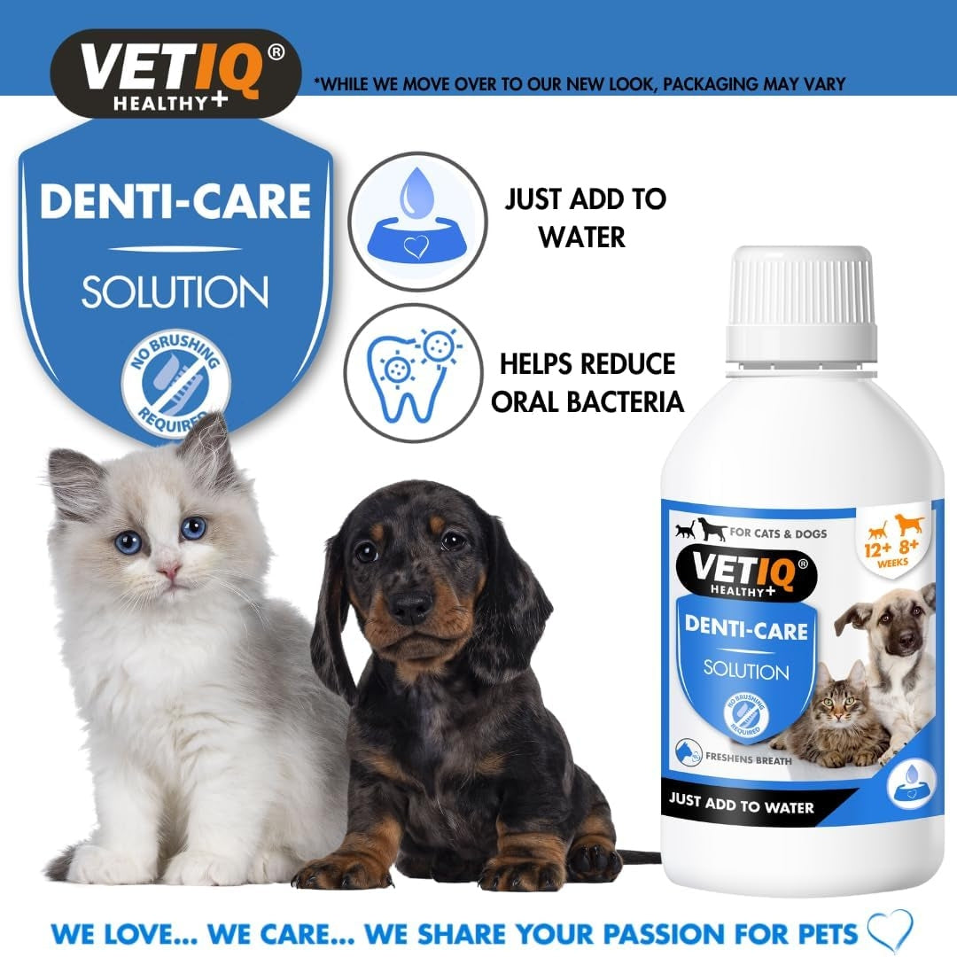 VetIQ 2in1 Denti-Care Oral Hygiene for Cats and Dogs - Benefits