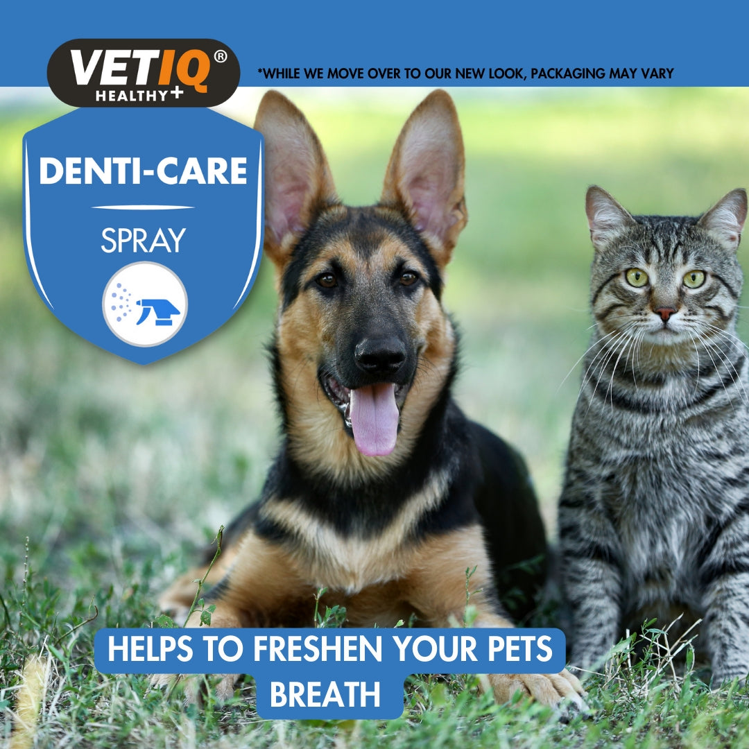 VetIQ Denti-Care Spray Oral Care Spray for Cats & Dogs - Benefits
