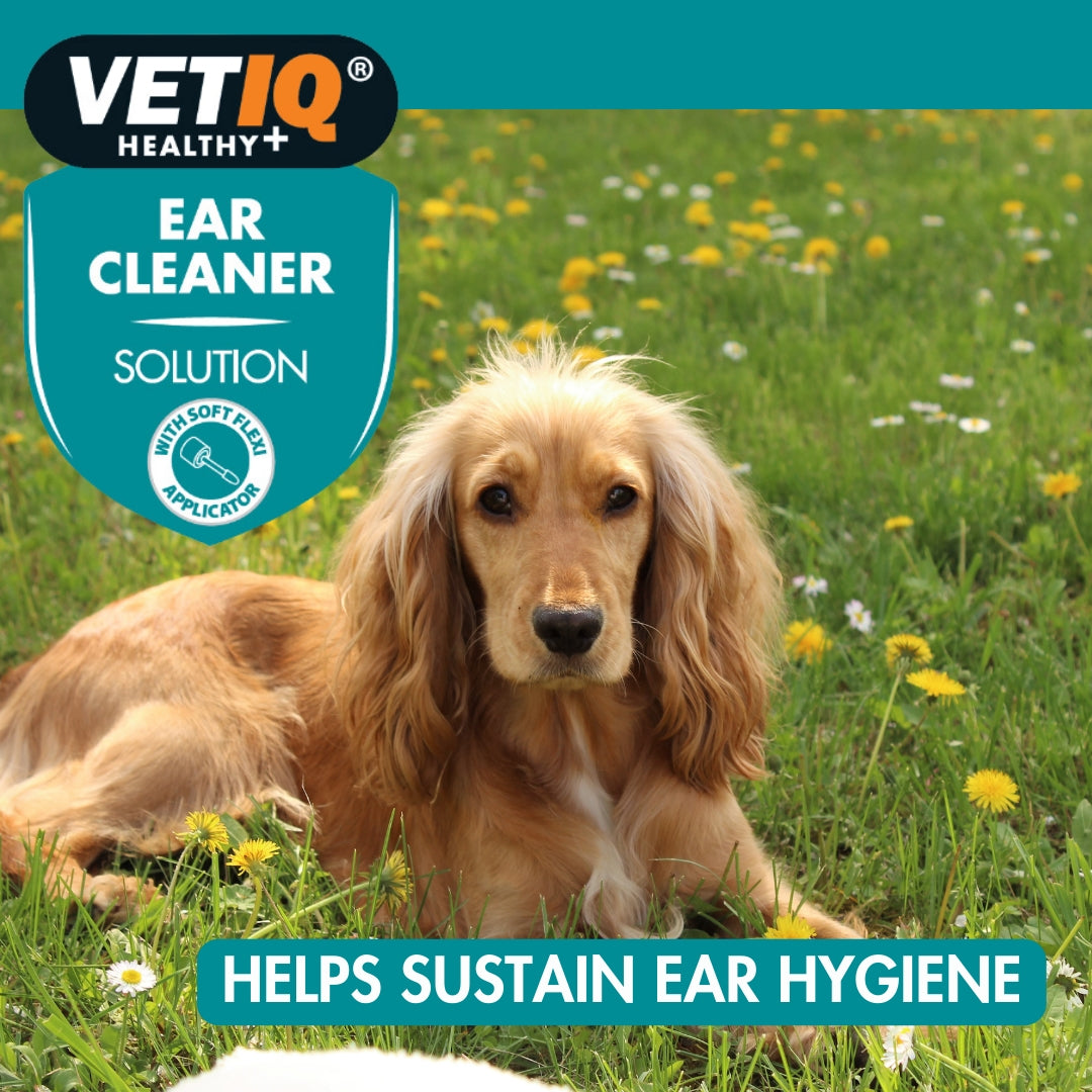 VetIQ Ear Cleaner Solution for Cats and Dogs - Benefits