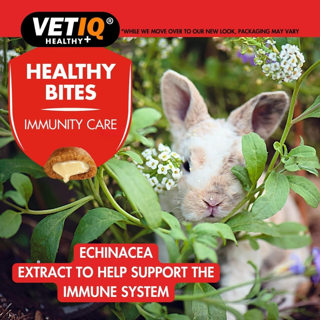 VetIQ Healthy Bites Immunity Care Treats for Small Animals - Benefits