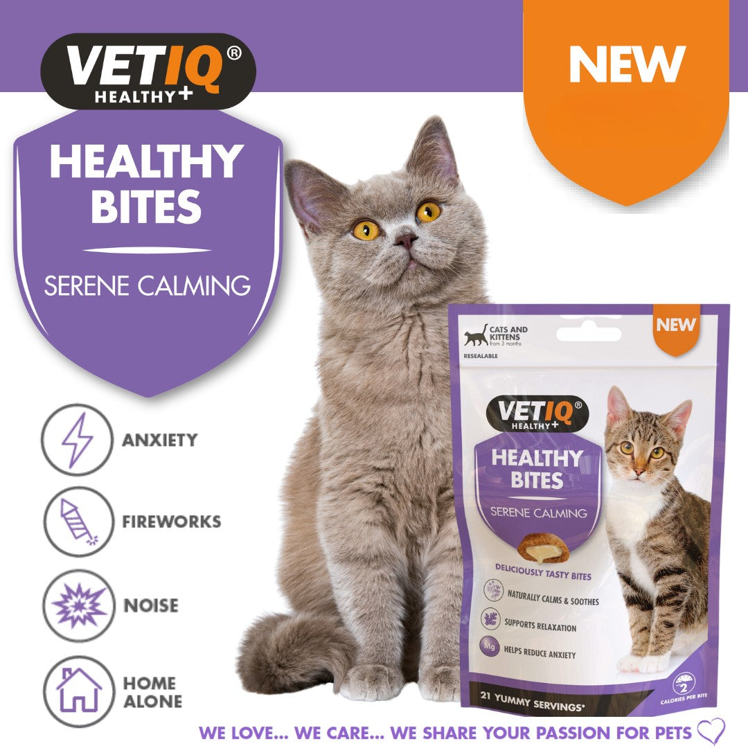 Buy VetIQ Healthy Bites Serene Calming Cat Treats | Petz.ae - Benefits
