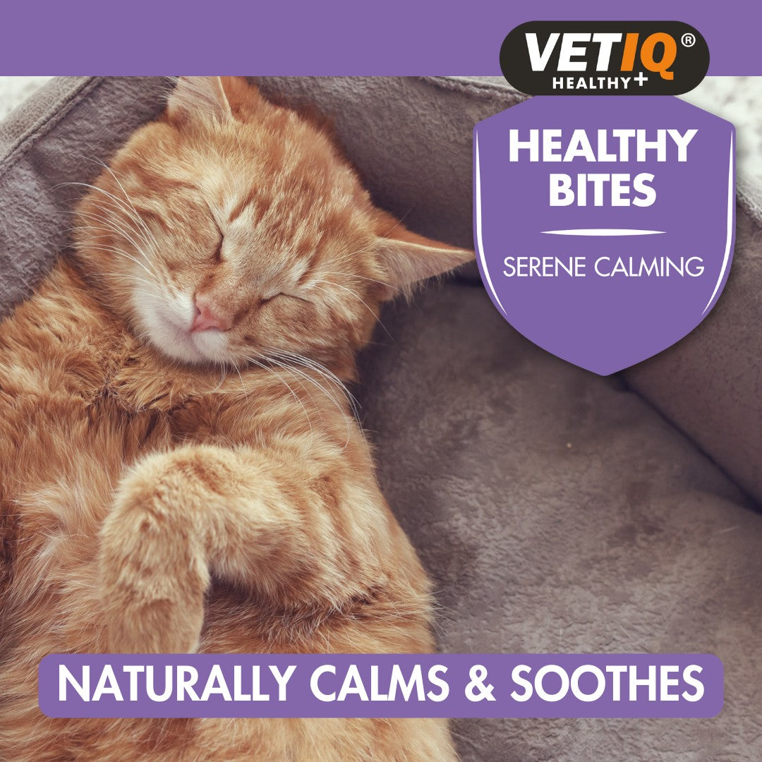 Buy VetIQ Healthy Bites Serene Calming Cat Treats | Petz.ae