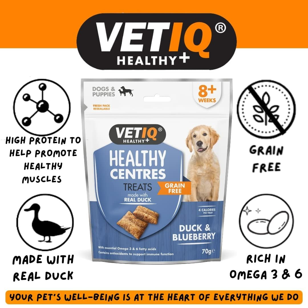 Buy VetIQ Healthy Centres Cheese Chia Seeds Dog Treats | Petz.ae