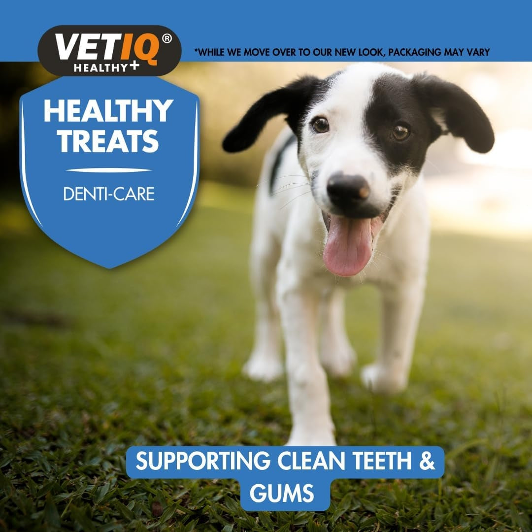 VetIQ Healthy Dental Dog and Puppy Treats - Delicious Dental Care for Dogs - Benefits 2