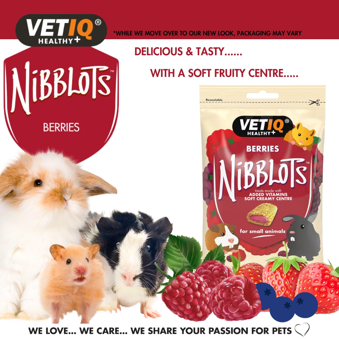 VetIQ Nibblots Berries for Small Animals Treats - Benefits