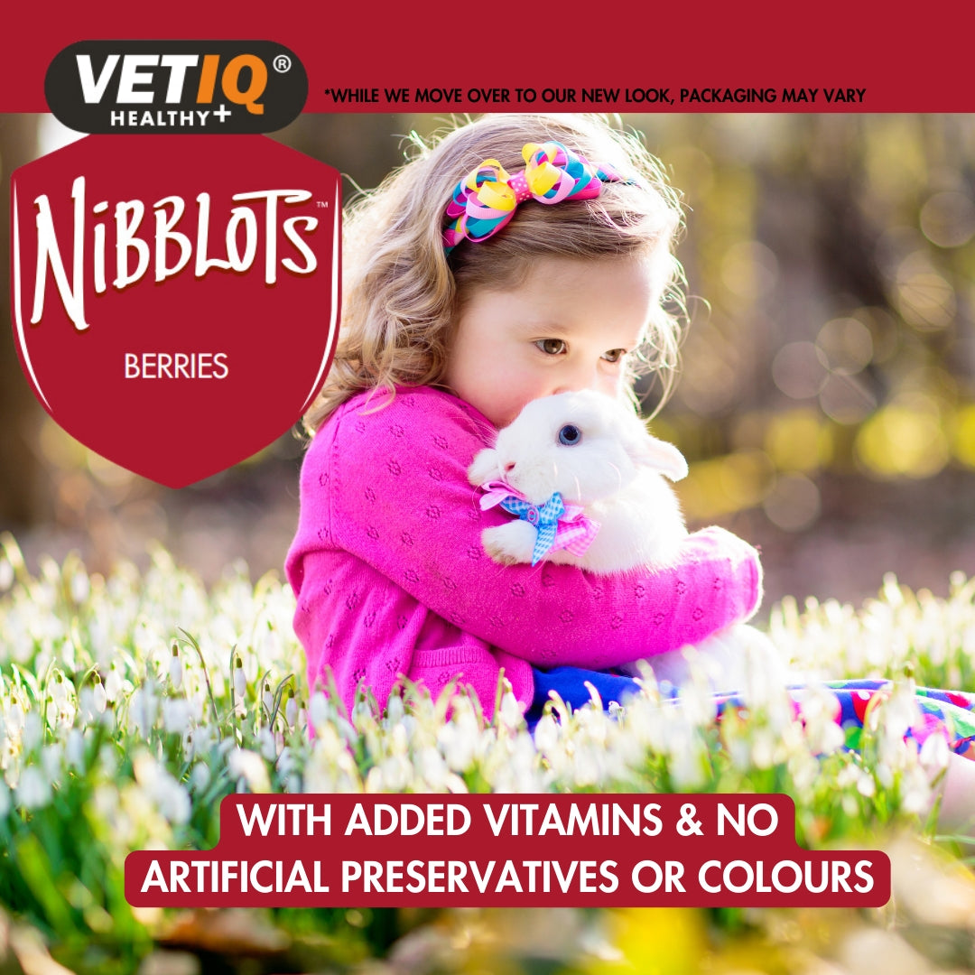 VetIQ Nibblots Berries for Small Animals Treats - Benefits