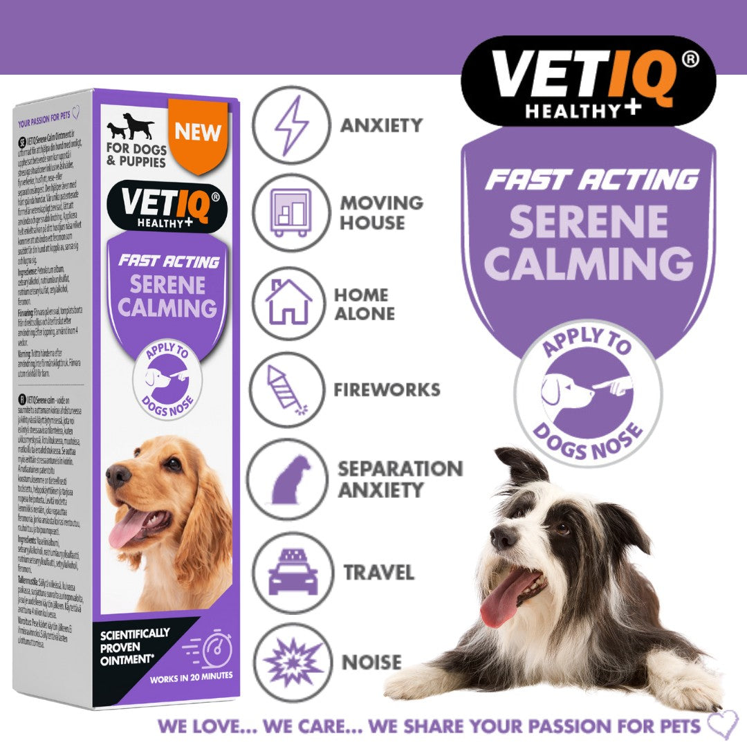 VetIQ Serene Calming Ointment Anxiety Relief for Dogs and Puppies in Dubai - Benefits