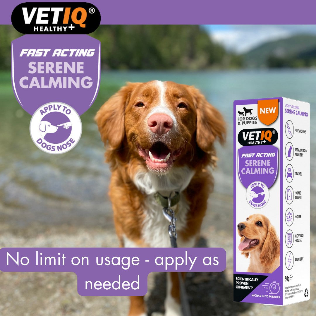 VetIQ Serene Calming Ointment Anxiety Relief for Dogs and Puppies in Dubai - Benefits