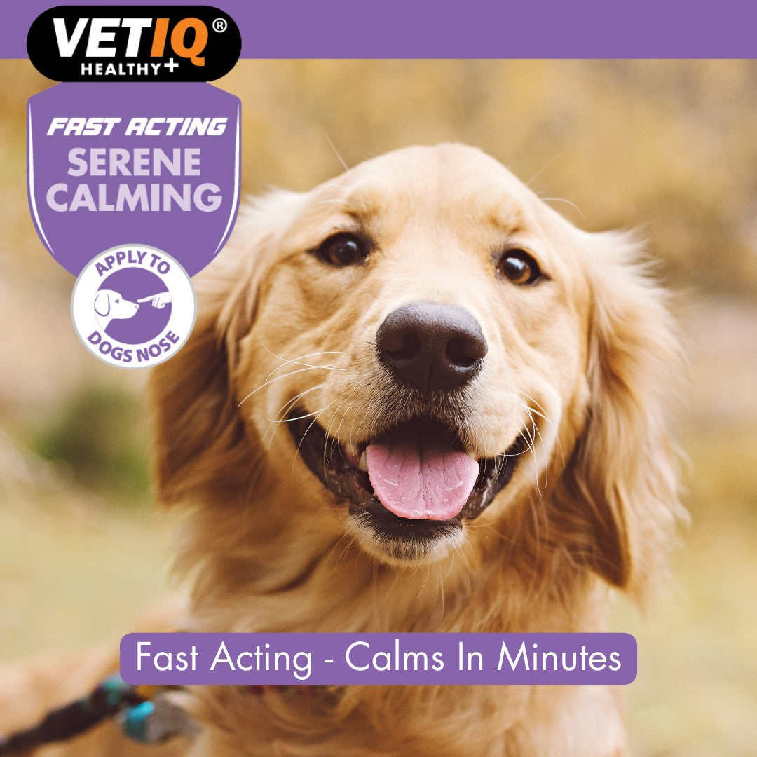 VetIQ Serene Calming Ointment Anxiety Relief for Dogs and Puppies in Dubai - Fast Acting