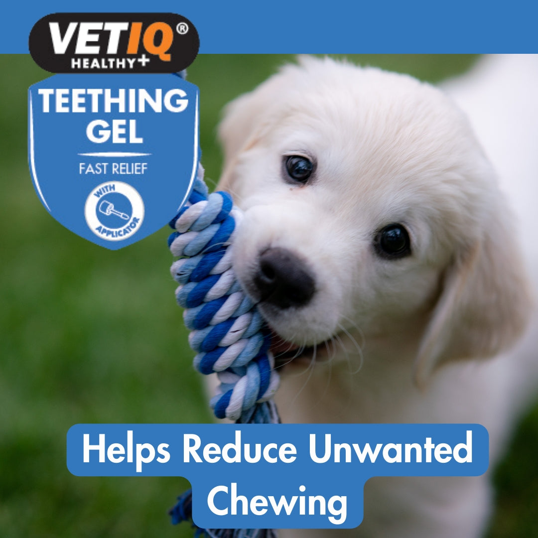 VetIQ Teething Gel for Puppies - Benefits