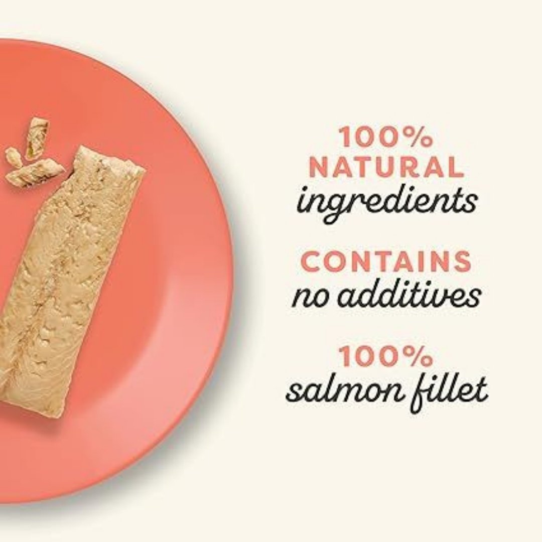 Applaws Salmon Fillet Cat Treat 30g