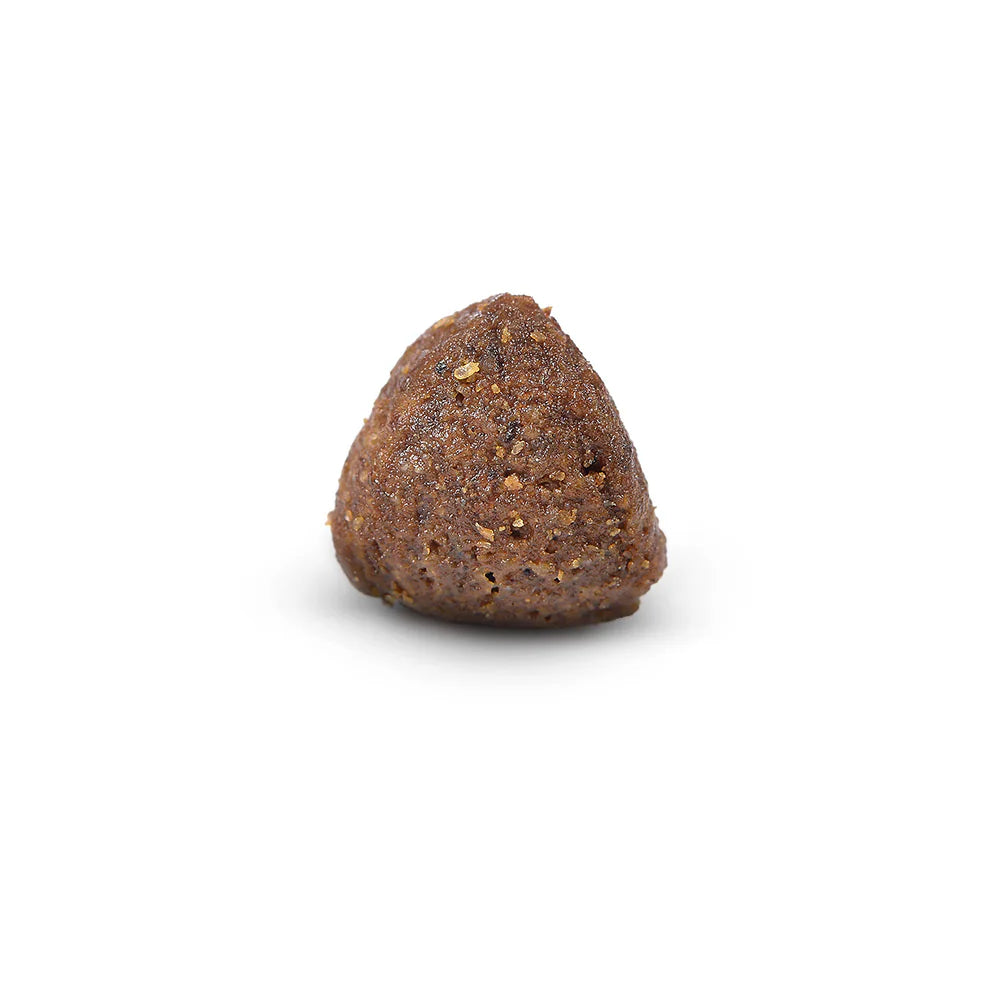 Arden Grange Advanced Sensitive All Breeds Puppy Fresh Ocean White Fish & Potato Dry Dog Food kibble size and shape