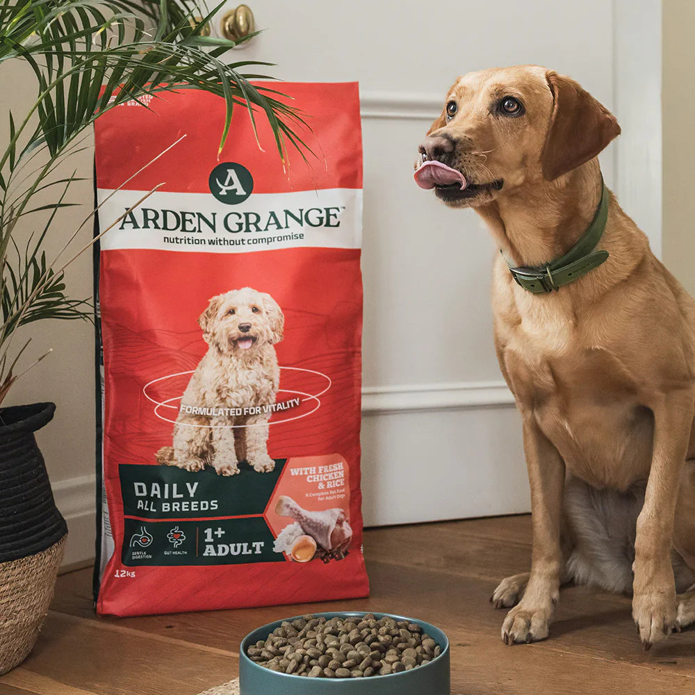 Arden Grange Daily All Breeds Adult Fresh Chicken & Rice Dry Dog Food product image 3