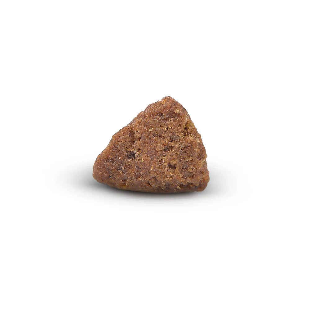Arden Grange Daily All Breeds Puppy with Fresh Chicken & Rice Dry Dog Food kibble size and shape