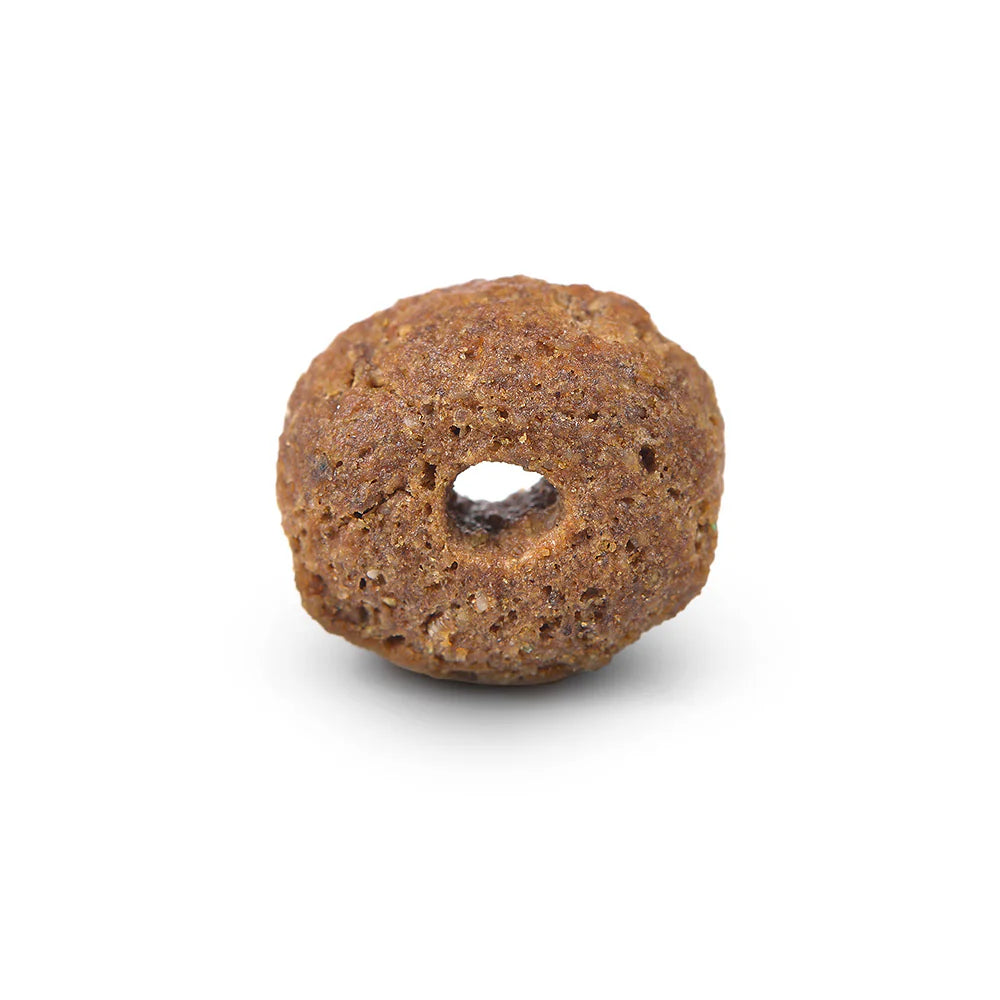 Arden Grange Daily Large Breeds Puppy with Fresh Chicken & Rice Dry Dog Food kibble size and shape