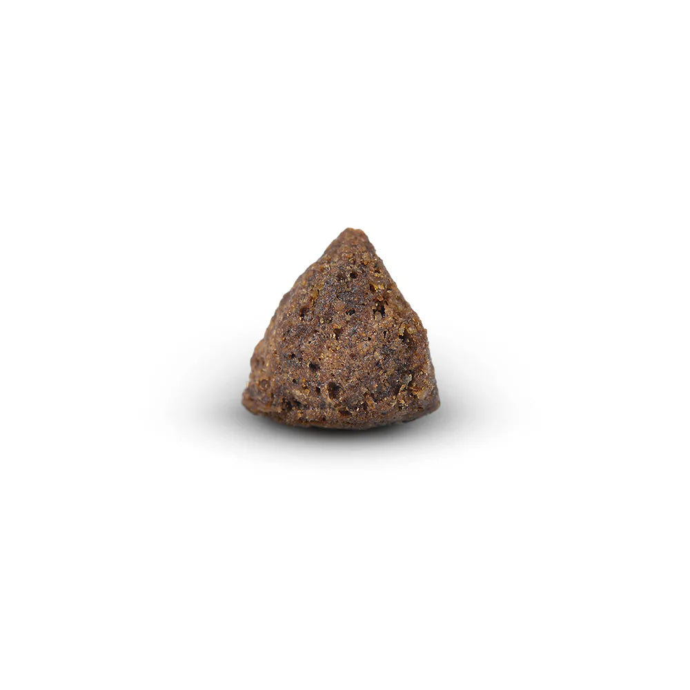 Arden Grange Daily Small Breeds Adult with Fresh Lamb & Rice Dry Dog Food kibble size and shape