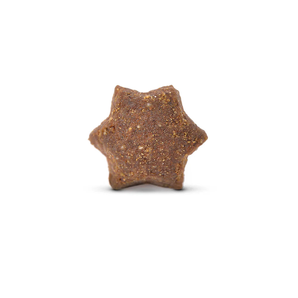 Arden Grange Performance with Fresh Chicken & Rice Dry Dog Food kibble size and shape