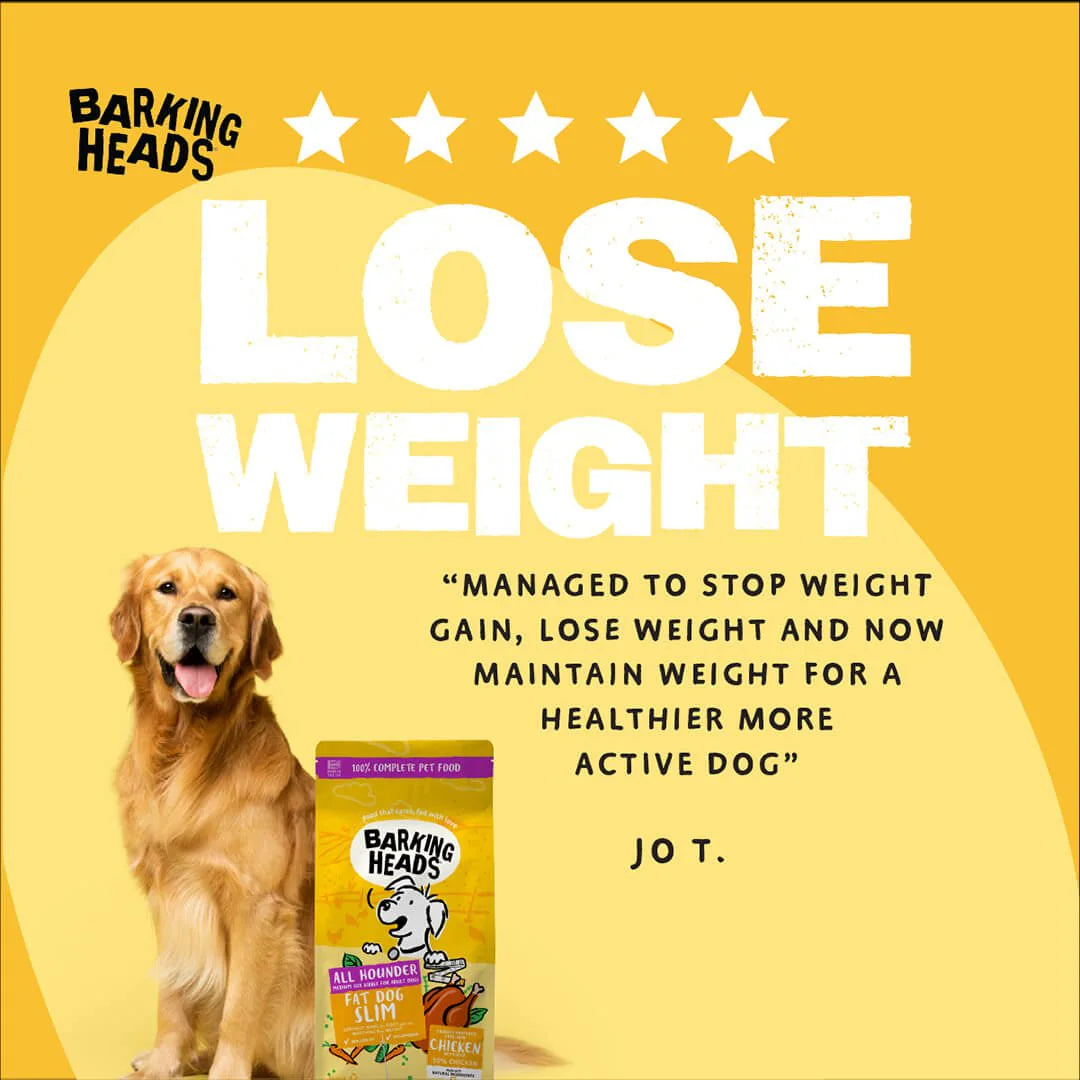 Barking Heads All Hounder Fat Dog Slim Chicken Dry Dog Food — 2 kg — product view 5