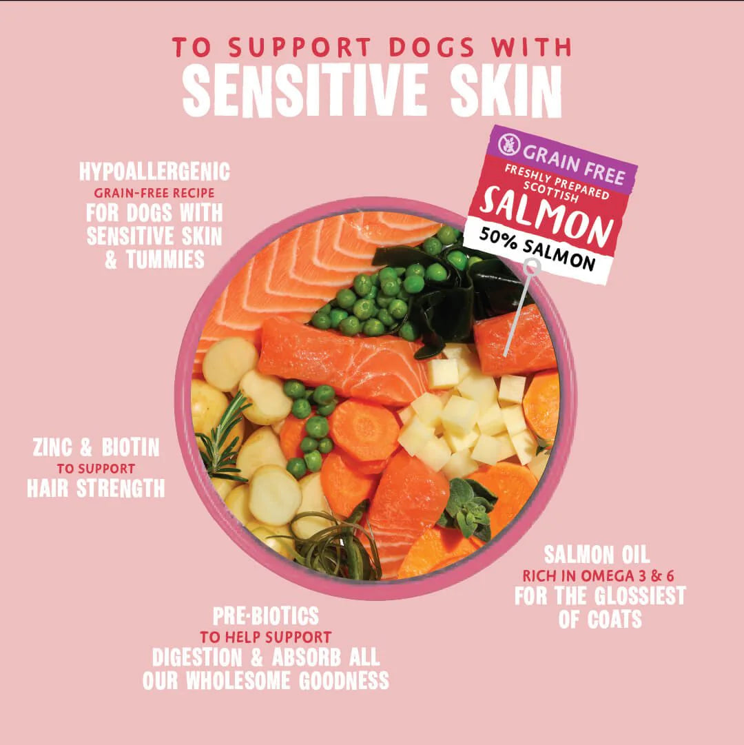 Barking Heads All Hounder Hair Necessities Salmon Dry Dog Food — 2 kg — product view 3