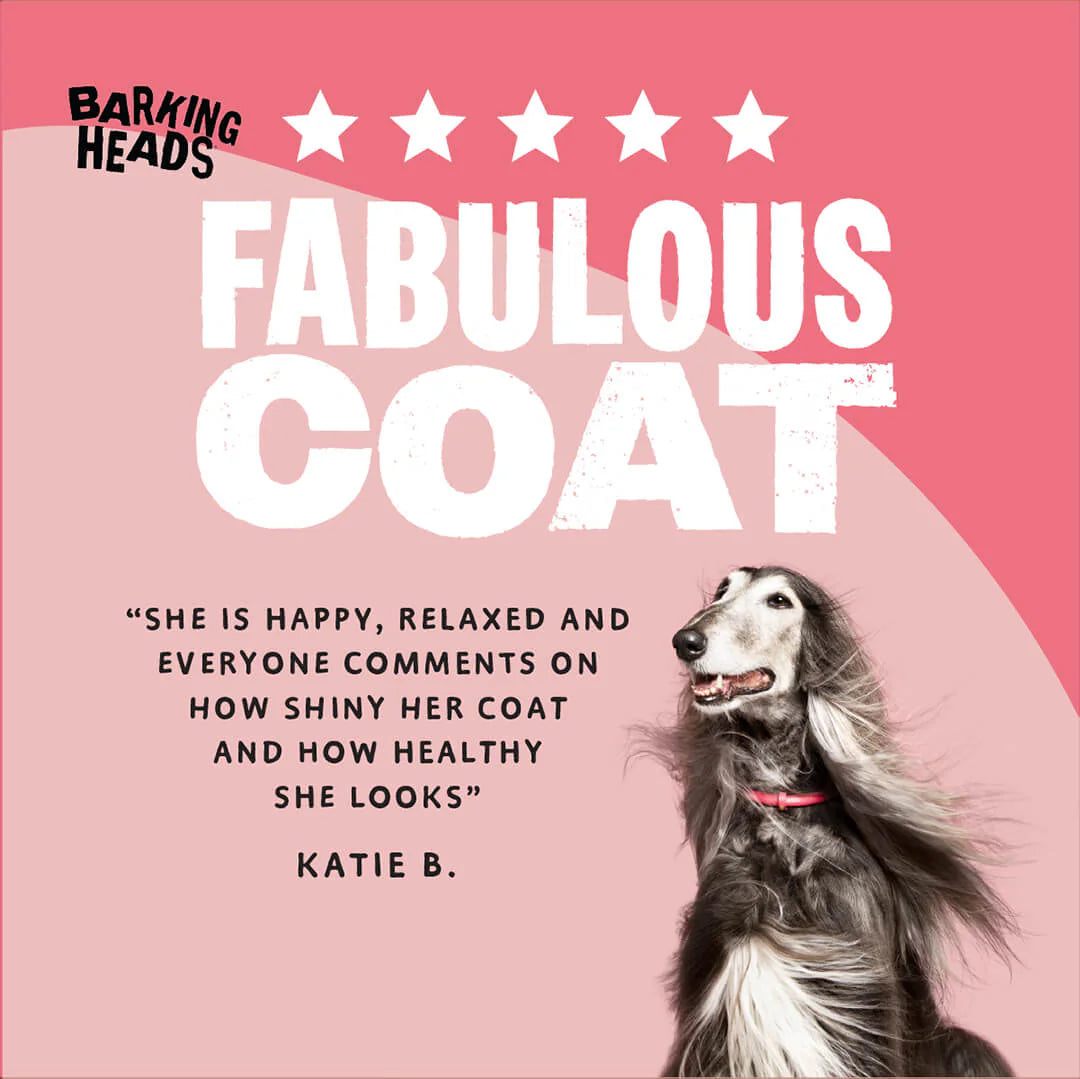 Barking Heads All Hounder Hair Necessities Salmon Dry Dog Food — 2 kg — product view 6