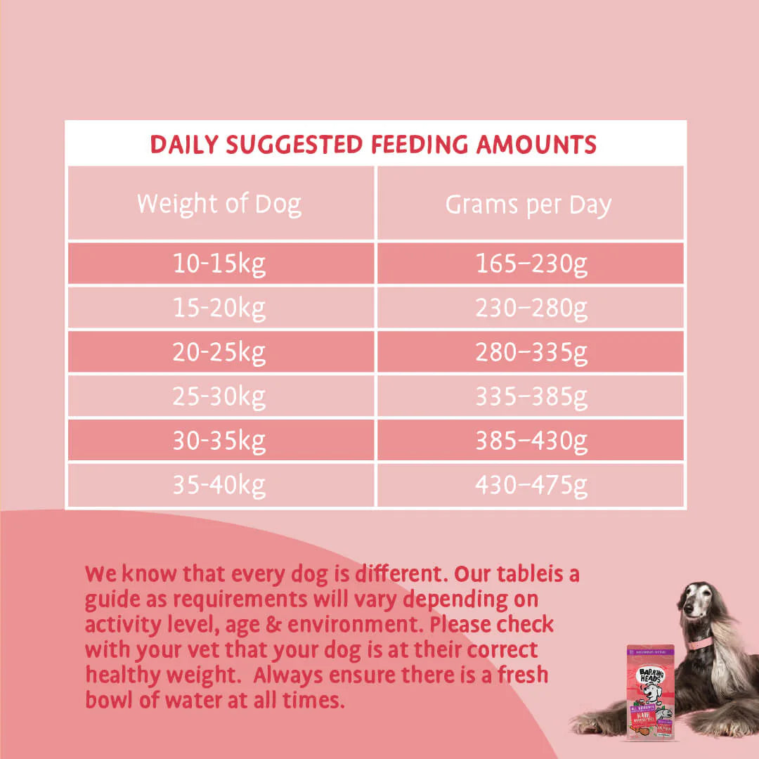 Barking Heads All Hounder Hair Necessities Salmon Dry Dog Food — 2 kg — product view 8