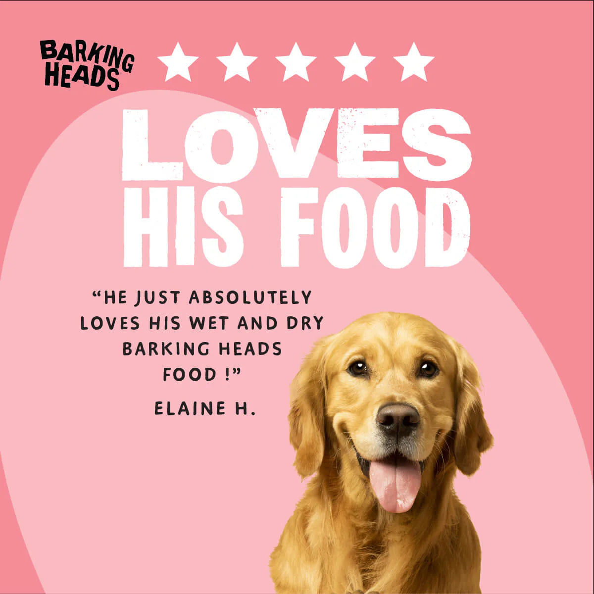 Barking Heads Beef Waggington Adult Wet Dog Food 300 g — 300 g — product view 6