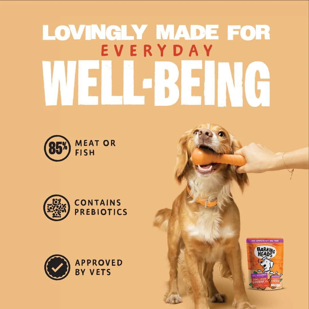 Barking Heads Bowl Lickin' Chicken Adult Wet Dog Food 300 g — 300 g — product view 5