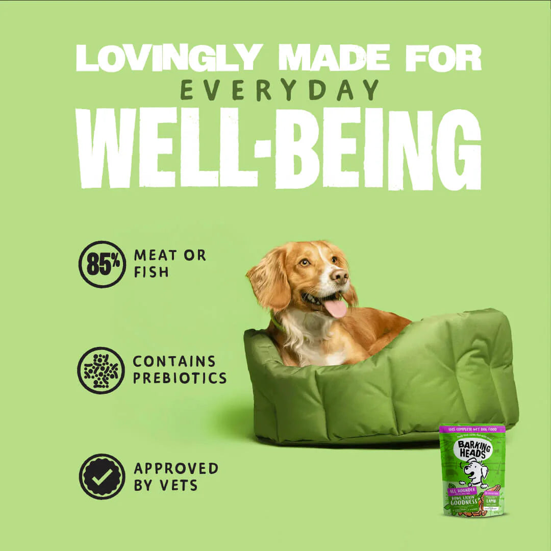 Barking Heads Chop Lickin' Lamb Adult Wet Dog Food 300 g — 300 g — product view 5