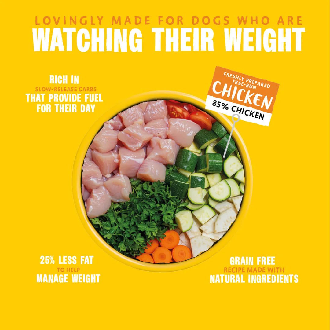 Barking Heads Fat Dog Slim Light Wet Dog Food 300 g — 300 g — product view 3