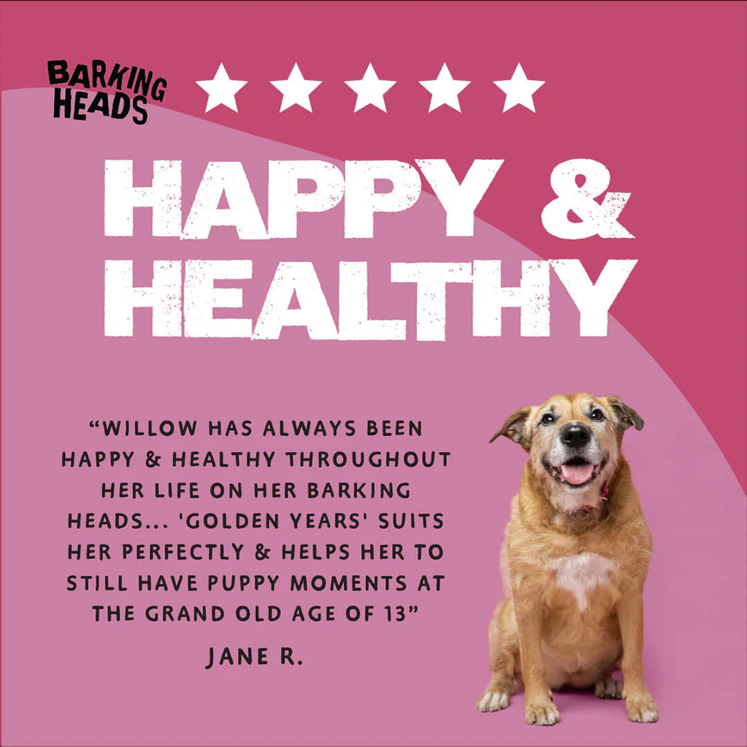 Barking Heads Golden Years Senior Wet Dog Food 300 g — 300 g — product view 6